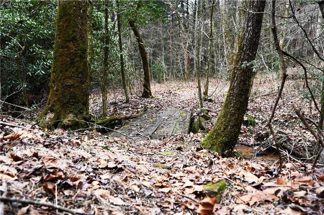 00 Hemlock Road, Ellijay, GA 30540