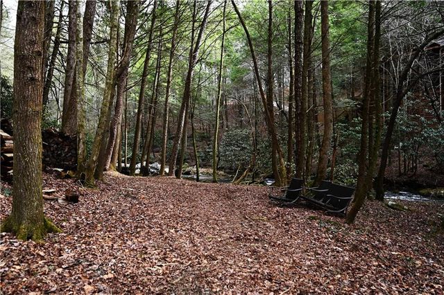 00 Hemlock Road, Ellijay, GA 30540