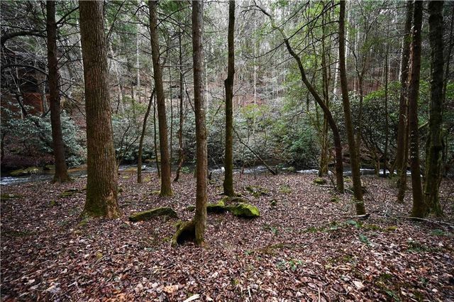 00 Hemlock Road, Ellijay, GA 30540