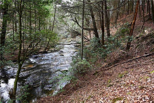 00 Hemlock Road, Ellijay, GA 30540