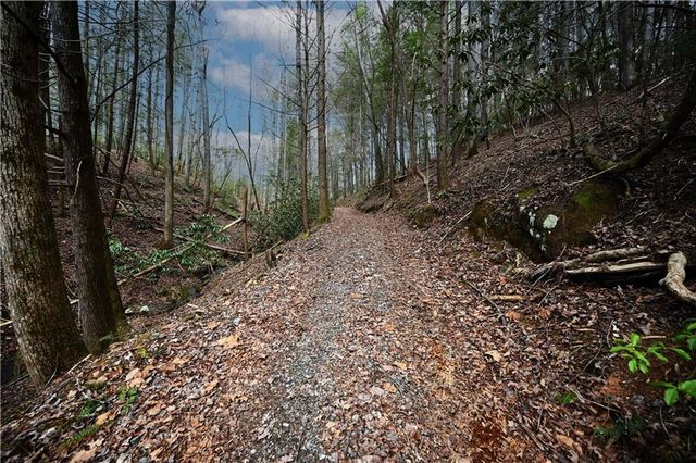 00 Hemlock Road, Ellijay, GA 30540