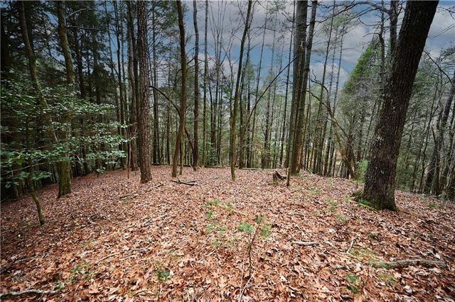 00 Hemlock Road, Ellijay, GA 30540