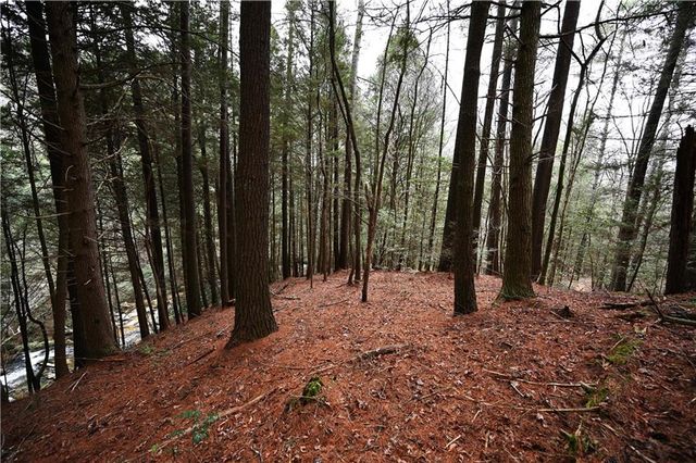 00 Hemlock Road, Ellijay, GA 30540