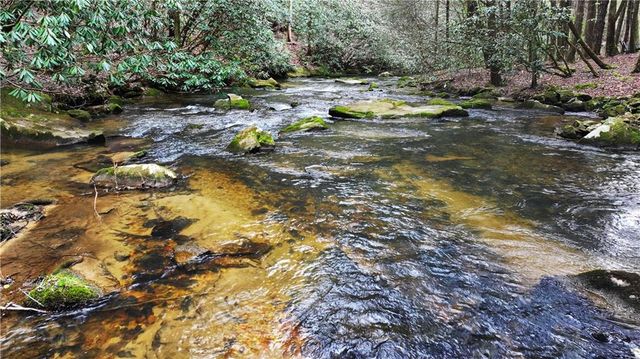 00 Hemlock Road, Ellijay, GA 30540