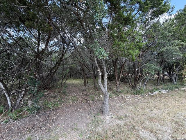 180 Rosenberry, Bulverde, TX 78163