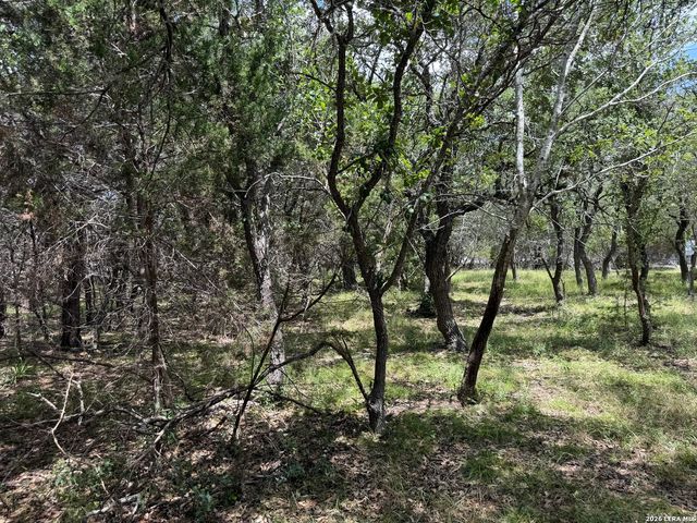 180 Rosenberry, Bulverde, TX 78163