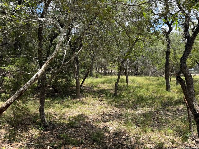 180 Rosenberry, Bulverde, TX 78163