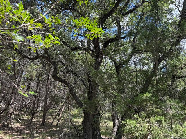 180 Rosenberry, Bulverde, TX 78163