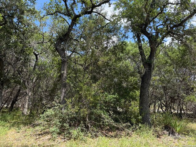 180 Rosenberry, Bulverde, TX 78163