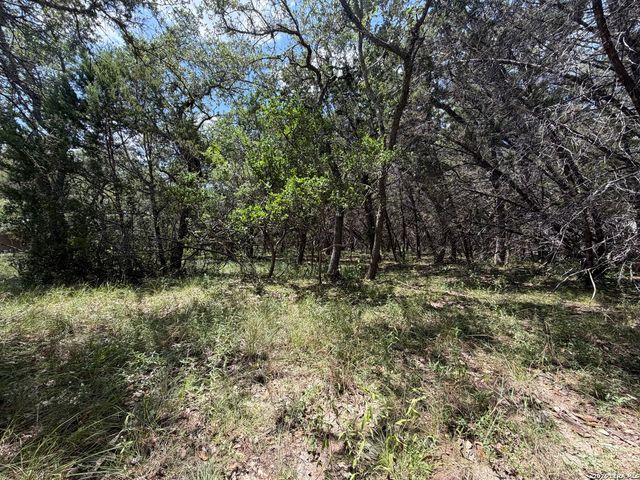 180 Rosenberry, Bulverde, TX 78163