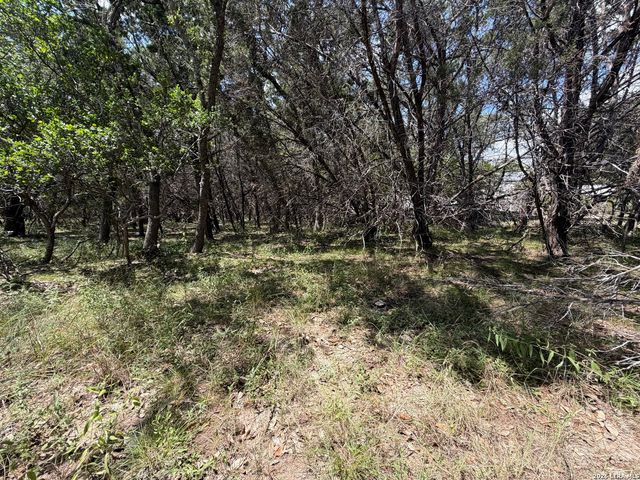 180 Rosenberry, Bulverde, TX 78163