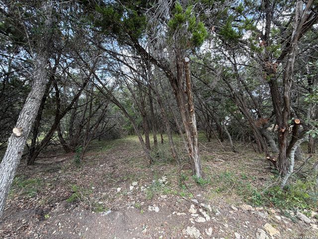 180 Rosenberry, Bulverde, TX 78163