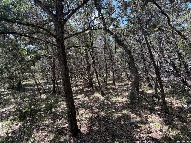 180 Rosenberry, Bulverde, TX 78163