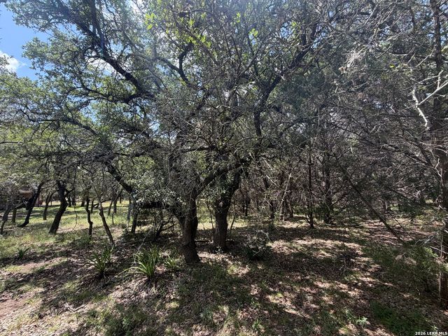 180 Rosenberry, Bulverde, TX 78163
