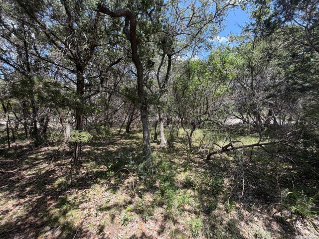 180 Rosenberry, Bulverde, TX 78163