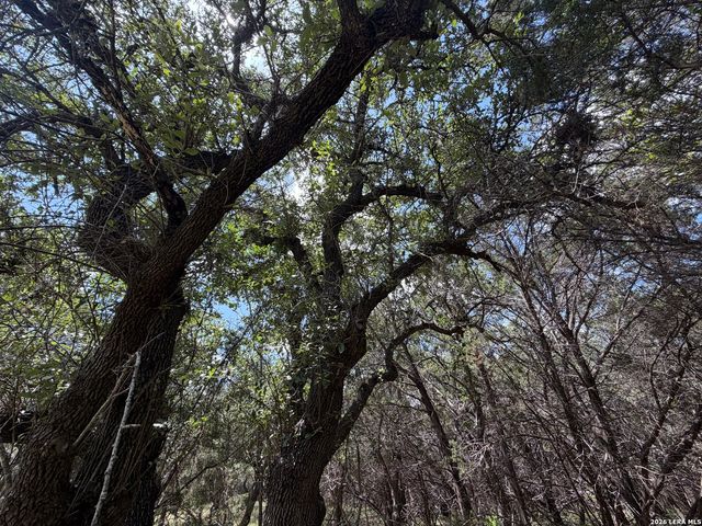 180 Rosenberry, Bulverde, TX 78163