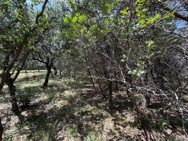 180 Rosenberry, Bulverde, TX 78163
