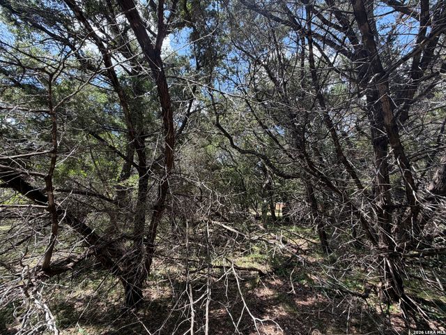 180 Rosenberry, Bulverde, TX 78163