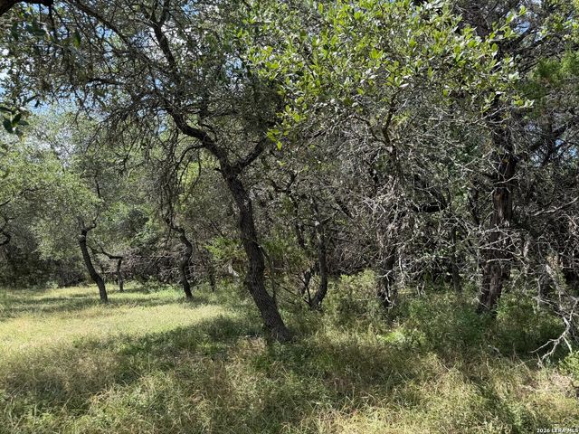 180 Rosenberry, Bulverde, TX 78163