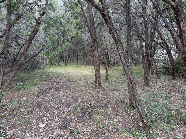 180 Rosenberry, Bulverde, TX 78163