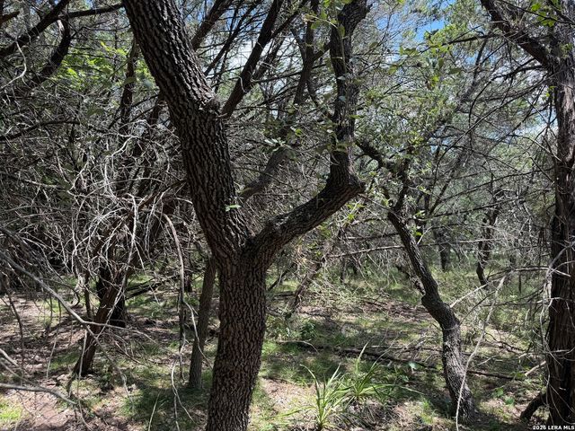 180 Rosenberry, Bulverde, TX 78163