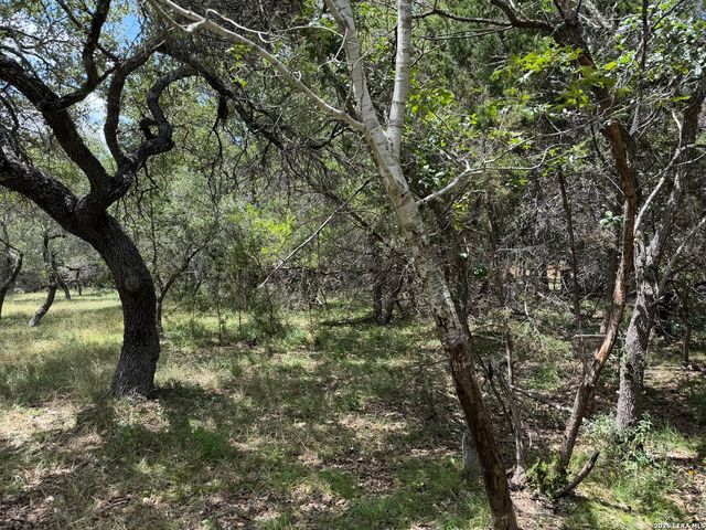 180 Rosenberry, Bulverde, TX 78163