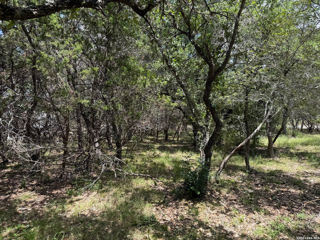 180 Rosenberry, Bulverde, TX 78163