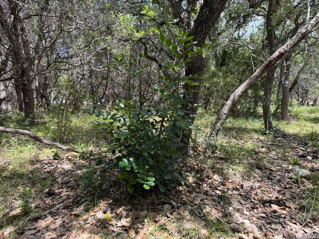 180 Rosenberry, Bulverde, TX 78163