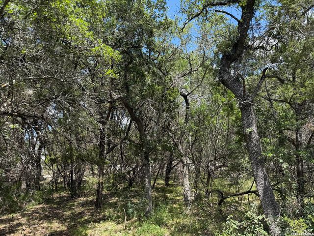180 Rosenberry, Bulverde, TX 78163