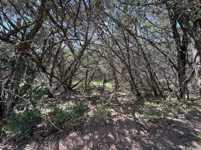 180 Rosenberry, Bulverde, TX 78163