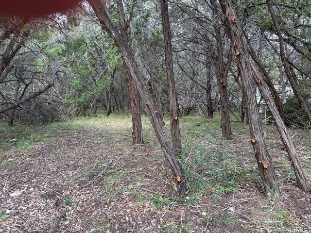 180 Rosenberry, Bulverde, TX 78163