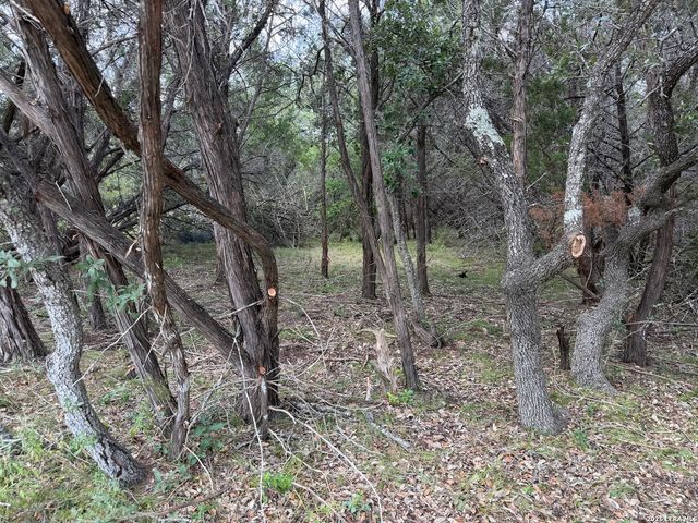 180 Rosenberry, Bulverde, TX 78163