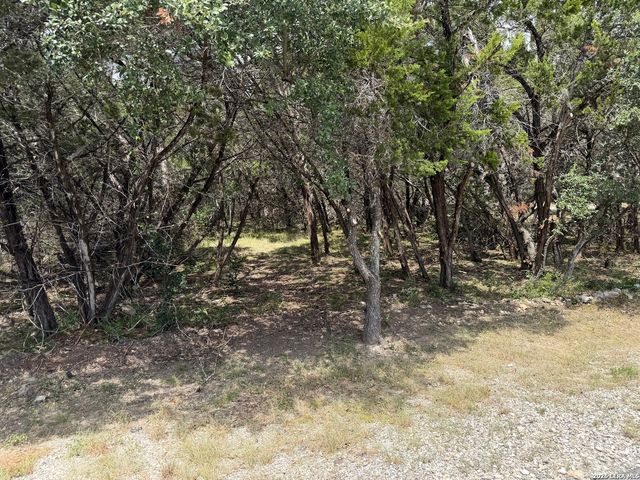180 Rosenberry, Bulverde, TX 78163