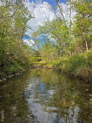 30 Acres Highway E, Cadet, MO 63630