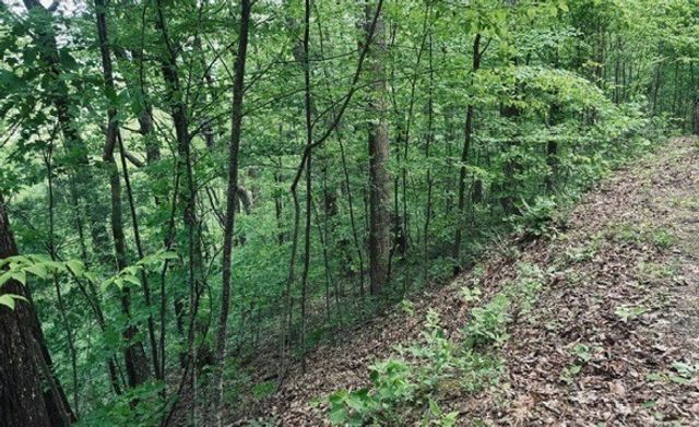 409&411 Barefoot Rise, Hiawassee, GA 30546