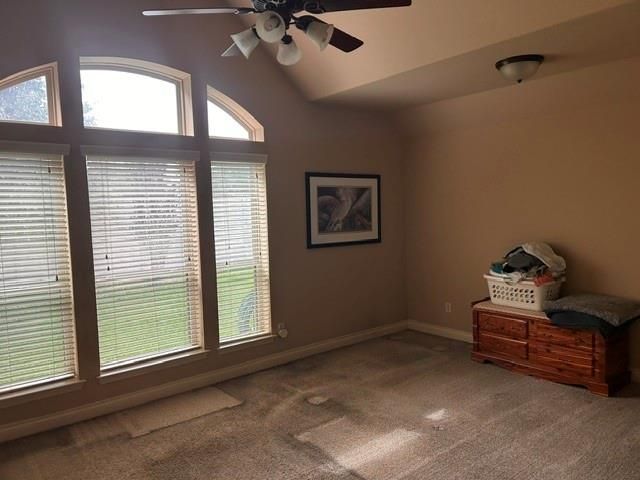 6206 Orange Blossom Lane, Rosenberg, TX 77471