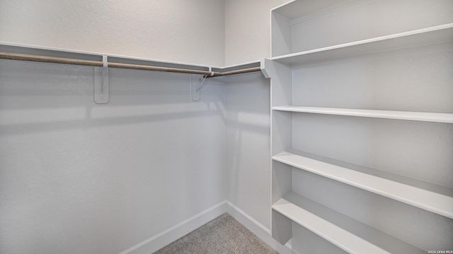 4108 Mountain Ash, San Antonio, TX 78245