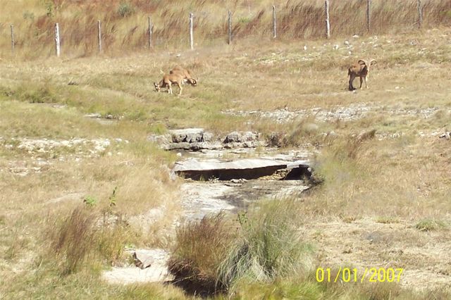 1059 Ranger Ridge Aly, New Braunfels, TX 78132