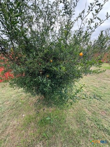 902 Draco Drive, Killeen, TX 76542