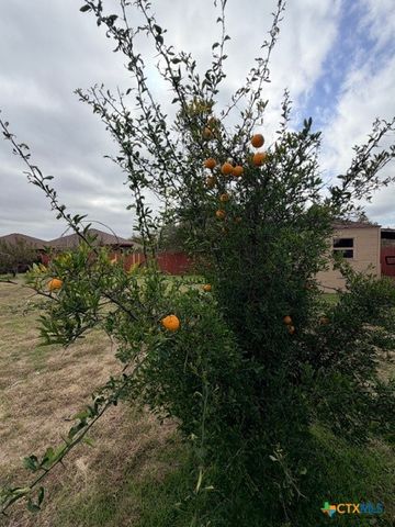 902 Draco Drive, Killeen, TX 76542