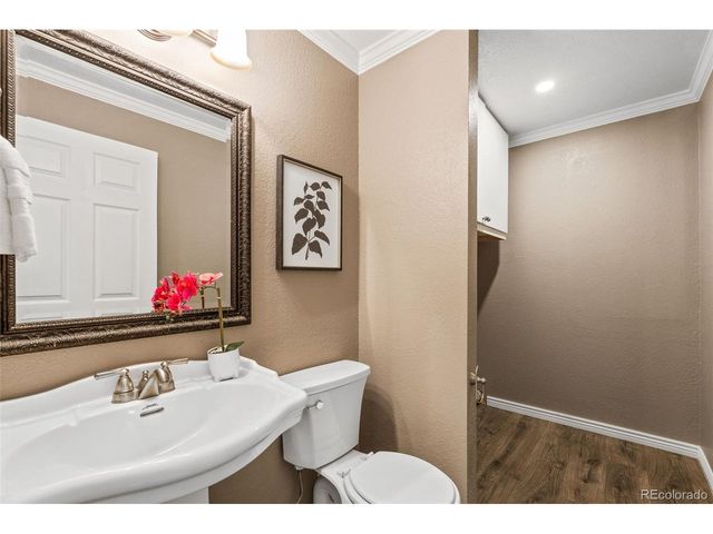 1197 N Deckers Pl, Castle Rock, CO 80104