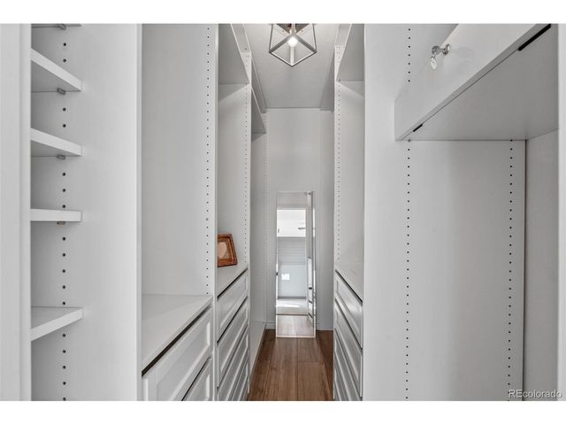 1197 N Deckers Pl, Castle Rock, CO 80104