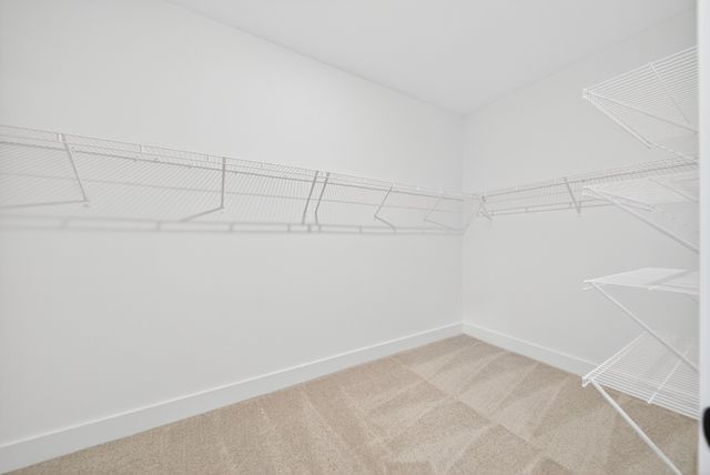 3911 Trinity Woods Rd, Columbia, TN 38401