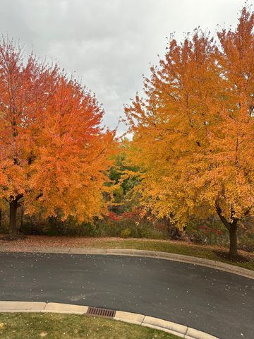 4605 Victor Path 1, Hugo, MN 55038