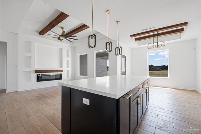 1049 Nina Avenue, Alamo, TX 78516