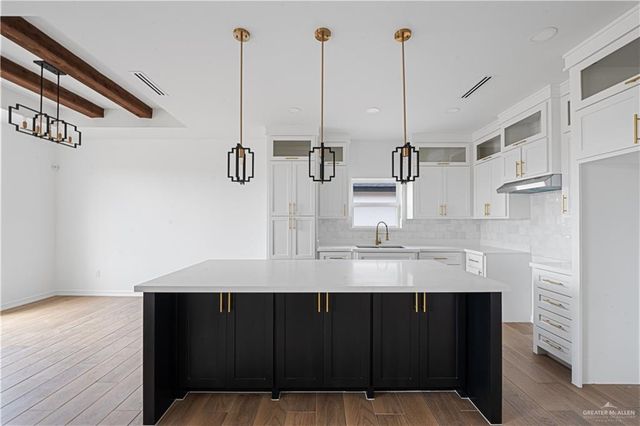 1049 Nina Avenue, Alamo, TX 78516