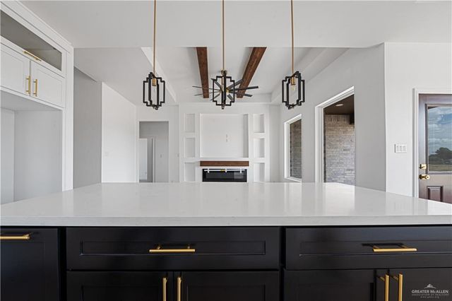 1049 Nina Avenue, Alamo, TX 78516