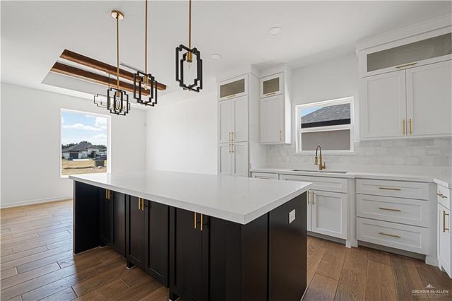 1049 Nina Avenue, Alamo, TX 78516