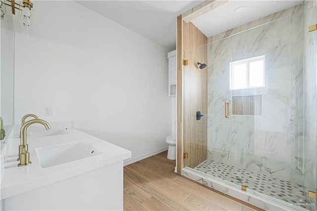 1049 Nina Avenue, Alamo, TX 78516