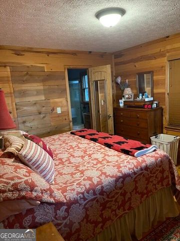 910 Foot Hills Drive, Cleveland, GA 30528